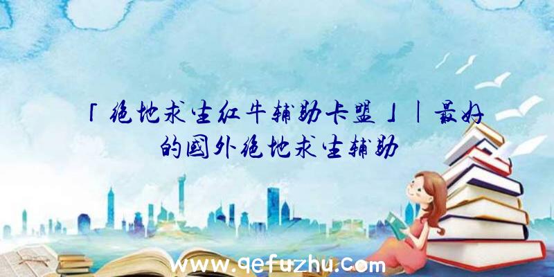 「绝地求生红牛辅助卡盟」|最好的国外绝地求生辅助